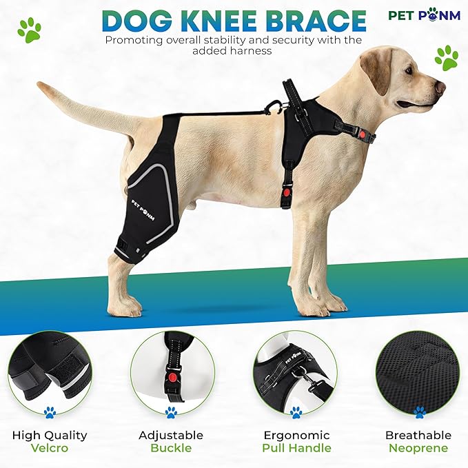 Dog ACL Knee Brace for Back Left Leg - with Integrated Harness - for Cruciate Ligament Injuries, Patellar Luxation, Post-Surgery Recovery. Durable, Breathable Material, Eases Pain - (Large)