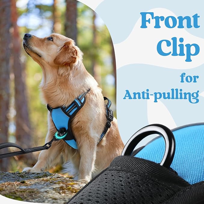 rabbitgoo Dog Harness for Large, No Pull Pet Harness with 3 Buckles, Adjustable Soft Padded Vest with Control Handle, Walking Reflective Pet Vest for Large Dogs, Sky Blue, L