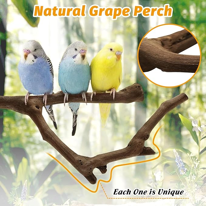 6Pcs Natural Wooden Bird Perch Grape Stick Claw Grinding Fork Bird Perching Branch Claw Grinding Stick Parrot Standing Platform Parrot Cage Chewing Accessories for Parrots Lovebirds Parakeets