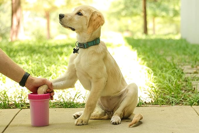 Dexas Pink Medium Dog Paw Cleaner, MudBuster - Premium Quality Pet Supplies and Dog Accessories for Dogs, Easy to Use, Mess Free, BPA Free, Patented Product