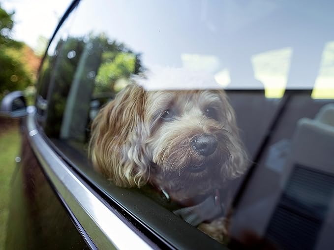 Snoozer Dog Car Seat: Lookout I Booster Seat for Small Dogs (5-15 lbs), Denim Diamond Fabric, Machine Washable Cover