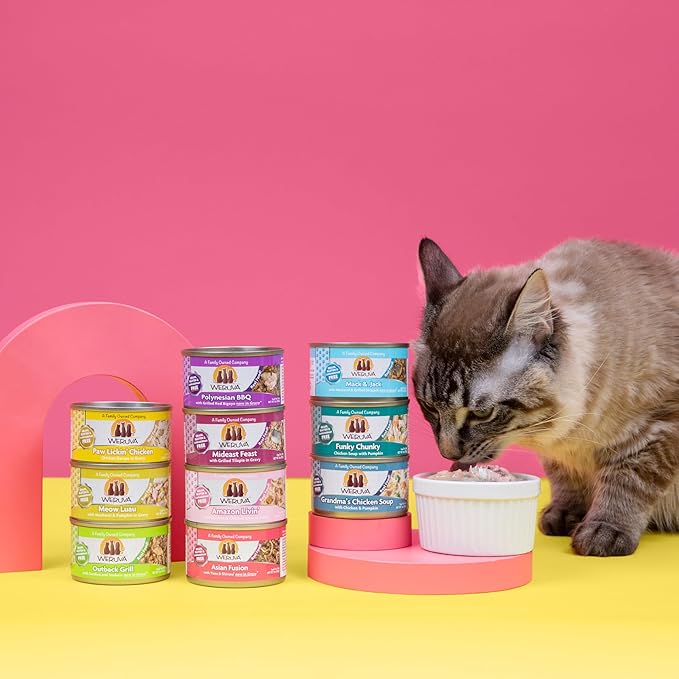 Weruva Classic Cat Food, Meow Luau with Mackerel & Pumpkin in Gravy, 5.5oz Can (Pack of 24)