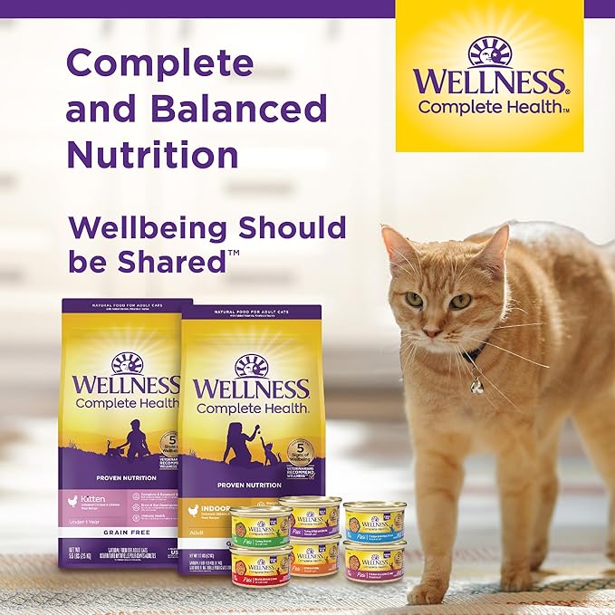 Wellness Complete Health Morsels Adult Wet Cat Food, Natural, Protein-Rich, Grain Free, 3 Ounce, 24 Pack, (Chicken Entrée)
