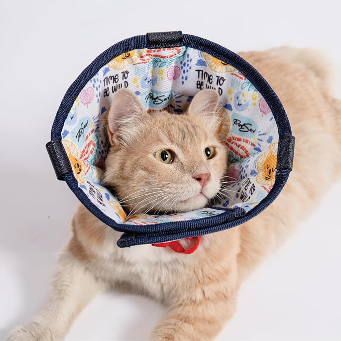 Cat Cone Collar – Colorful Cat Pattern - Lightweight Recovery Cone for Cats, Anti-Lick & Anti-Scratch, Vet Recommended, Elizabethan Collar (Colorful, XS [Neck Girth: 8.6"-12.2"])