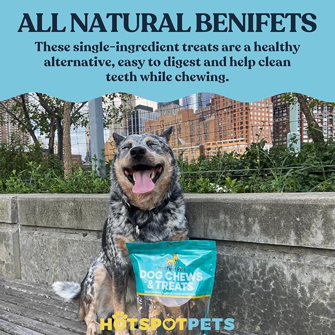 hotspot pets 8-9 Inch Large Rawhide Dog Chew Bones - Made from Grass Fed Cows - Great for Dental & Oral Care for Aggressive Chewers Large Dogs