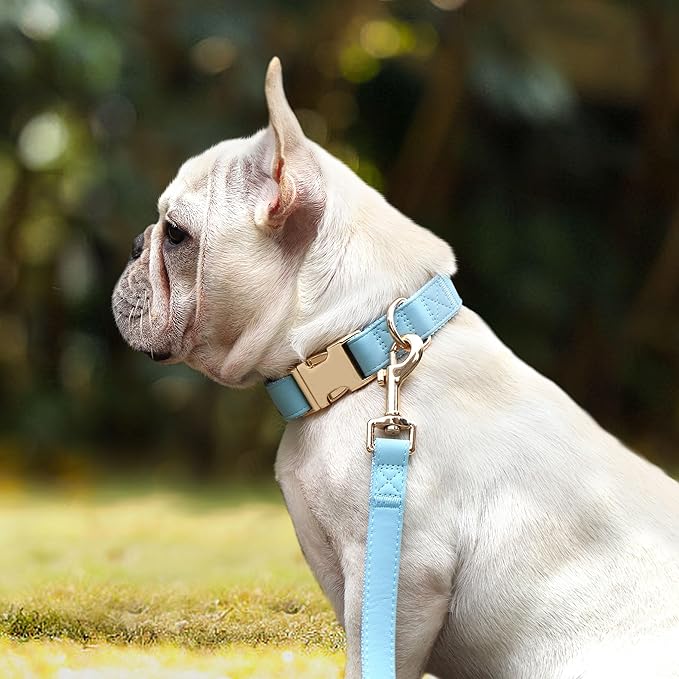 PET ARTIST Soft PU Leather Dog Collar for Small Dogs, Bright & Classic Nylon Padded Durable Dog Collar Leather with Quick Release Metal Buckle Adjustable for Male Dogs, Neck Fit 9-14"