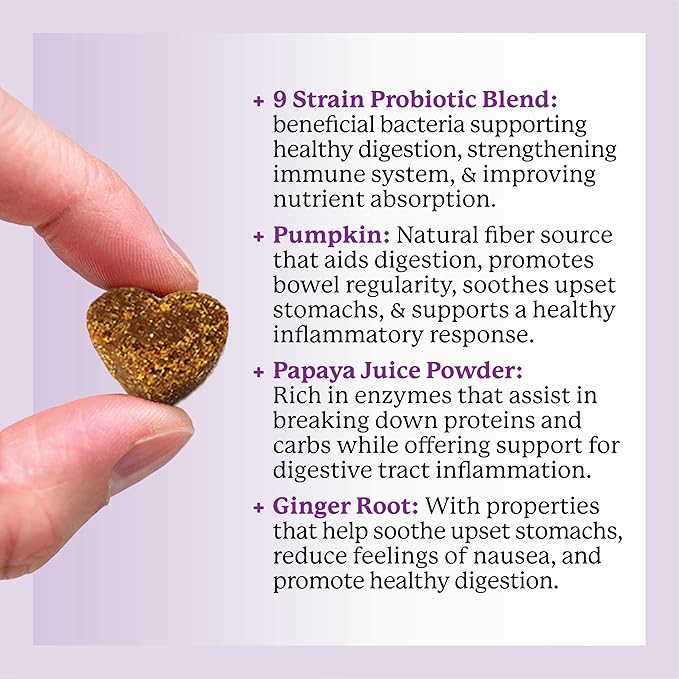 Dr. Harvey's Digestive Probiotic Soft Chews for Dogs, 7 Probiotics for Gut Health, Diarrhea and Bowel Support, Peanut Butter Flavor (90 Chews)