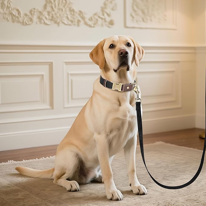 Didog Soft PU Leather Dog Collar for Large Dogs,Classic Adjustable Dog Collars with Quick Release Metal Buckle,Easy Clean and Comfortable with Nylon Lining,Black,L Neck 15-23"