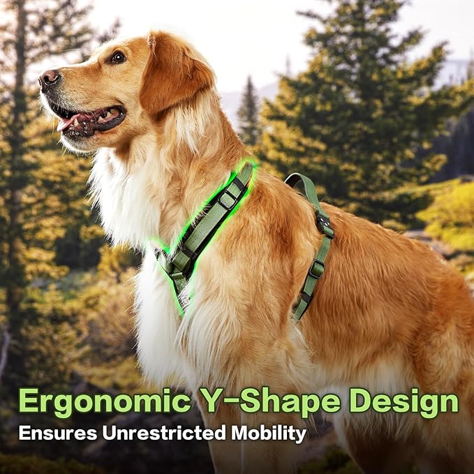 CLEPAWS Dog Harness for Medium Dogs, No Pull Dog Harness Easy Walk with Metal Hardware, Ergonomic Y-Shaped Design, Soft Padding, Padded Handle, Durable High-Tensile Nylon (Evergreen, M)
