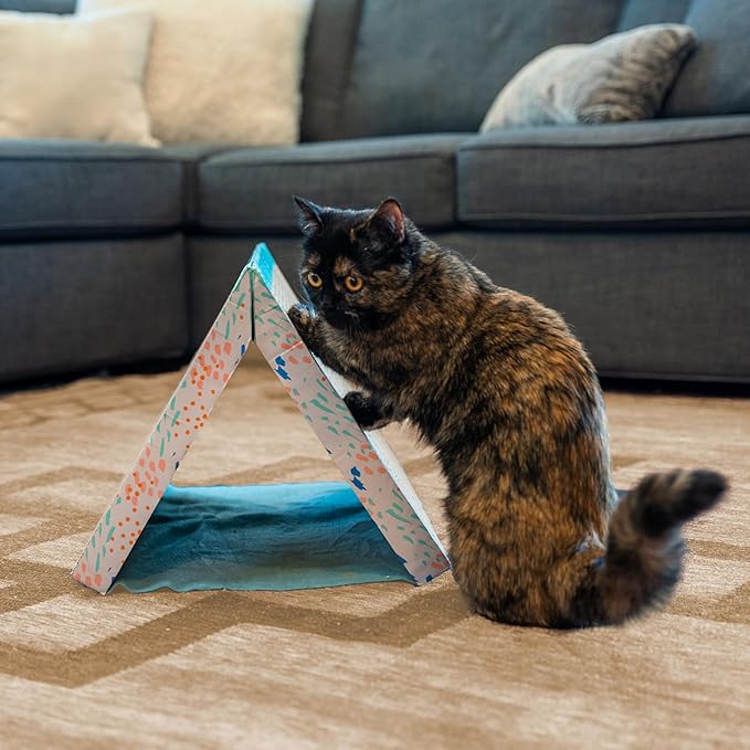 Catstages Fold Away Cat Tunnel and Corrugated Cat Scratcher