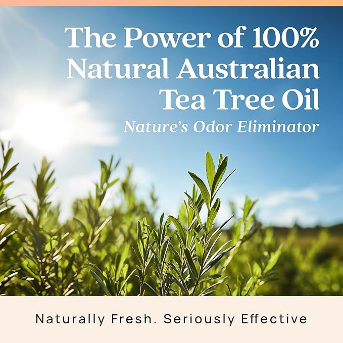 Azuna Air Freshener & Odor Eliminator for Strong Odor | 2 Room Kit Includes (2) Empty Luxe Glass Jar & 12oz Gel Refill with Tea Tree Essential Oil | Simply Citrus | Last 60-90 Days