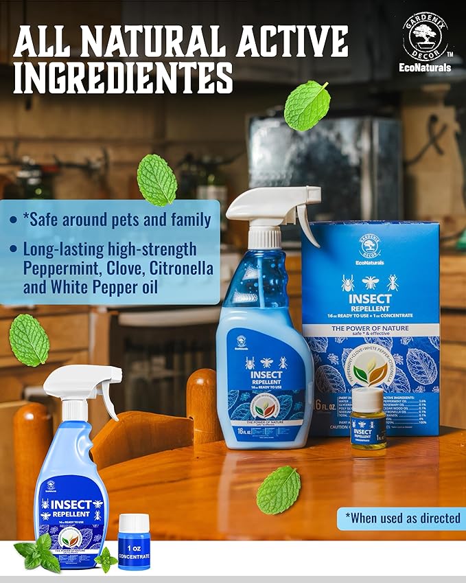 All Natural Bug Spray for Home – Non- Toxic Peppermint Oil Spray for Insect and Pest Control Kit - 16 oz Ready-to-Use Bug Spray 2 Bottle Value – 16 oz + 1oz - Spider Repellent Indoor