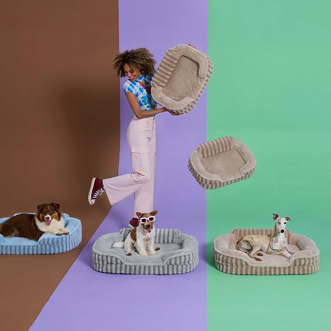 LE SURE Cute Dog Bed Medium Size Dog, Orthopedic Waterproof Medium Pet Beds with Sides, Non-Slip Bottom and Egg-Crate Foam Pet Couch Sofa with Washable Removable Cover, Blue