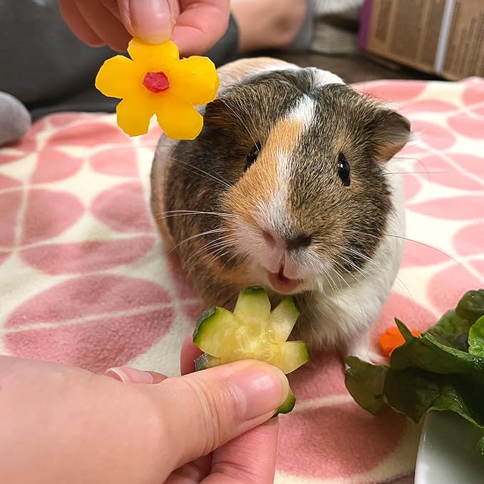 GuineaDad Premium Liner – Fleece Guinea Pig Cage Liner – Ultra-Plush Reusable Fleece Bedding with Waterproof Bottom – (Rainy Day)