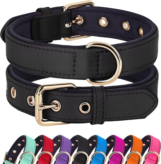 Didog Soft Padded Dog Collars for Small Dogs, Lightweight and Breathable Dog Collar with Metal Buckle for Puppy, Black, S