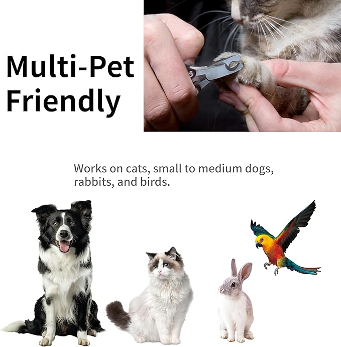 Dog Nail Trimmers & Dog Nail Clippers for Grooming - Small Dog Nail Clippers - Safe and Easy Stainless Pet Supplies