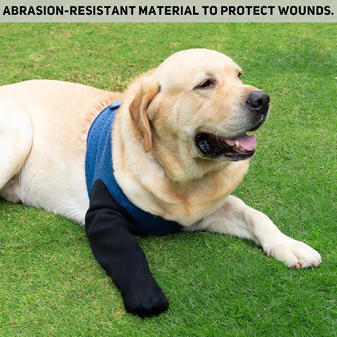COODEO Dog Socks to Prevent Licking Paws, Healing Boots & Paw Protectors with Non-Slip Bottoms for Wound Protection, Waterproof Sleeve Shoes for Licking（Blue，3XL_Left