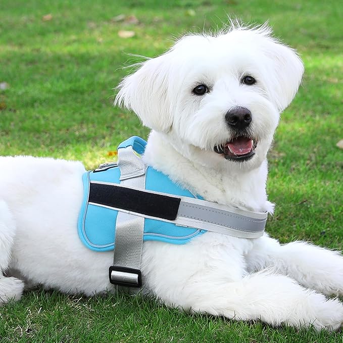 Bolux Dog Harness, No-Pull Reflective Dog Vest, Breathable Adjustable Pet Harness with Handle for Outdoor Walking - No More Pulling, Tugging or Choking (OceanicBlue, Small (Pack of 1))