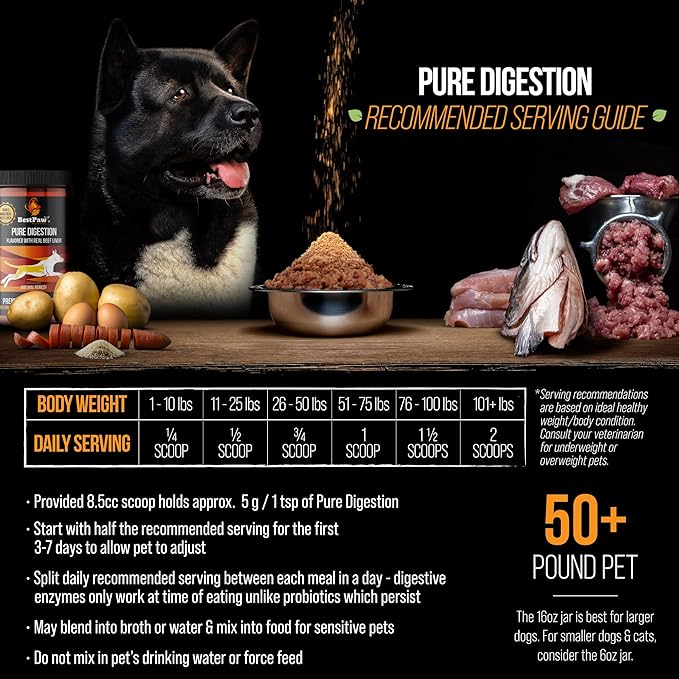 Dog & Cat Premium Probiotic Prebiotic & Digestive Enzymes 5 Billion CFU Organic Turmeric Coconut Oil Pure Pumpkin & Kelp for Healthy Bowels Gut & UTIs Beef Liver Flavor
