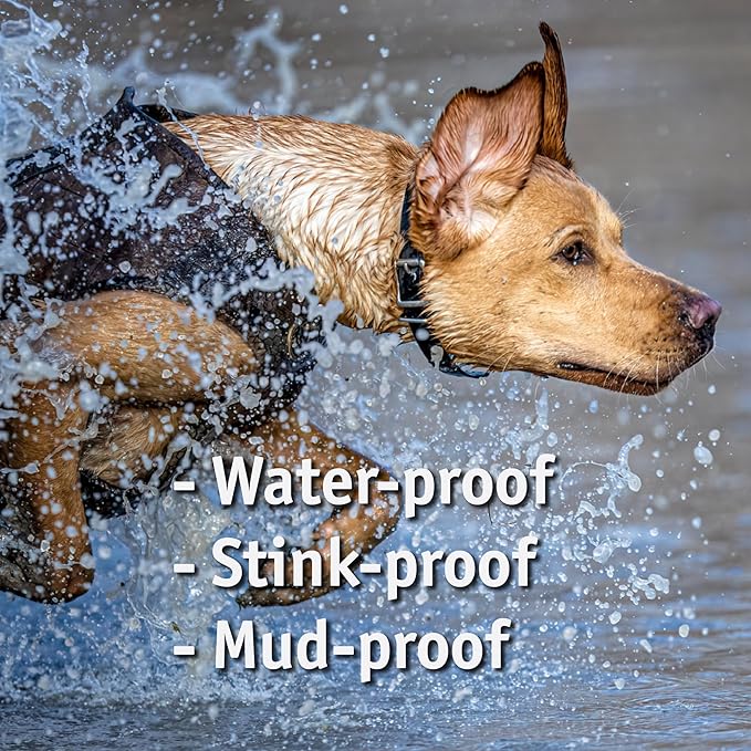 Biothane Custom Dog Collar – Waterproof, Stink-Proof Personalized Collar with Name & Phone Number – Durable, Many Sizes and Colors – Assembled in USA – Assembled in USA (Hot Pink)