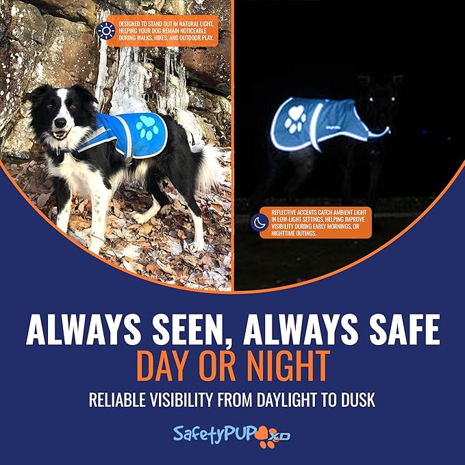 Dog Reflective Vest – Hi-Vis Fluorescent Visibility That Helps to Safeguard Your Pet On/Off Leash in Urban & Rural Areas (Blue, Small)