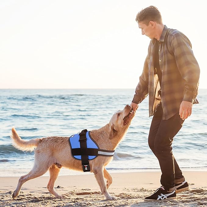 Dogline Dog Harness, Reflective No-Pull Adjustable Vest with Handle for Walking, Training, Breathable, No - Choke Harness for Small, Medium or Large Dogs Room for Patches Girth 15 to 18 in Cyan Blue