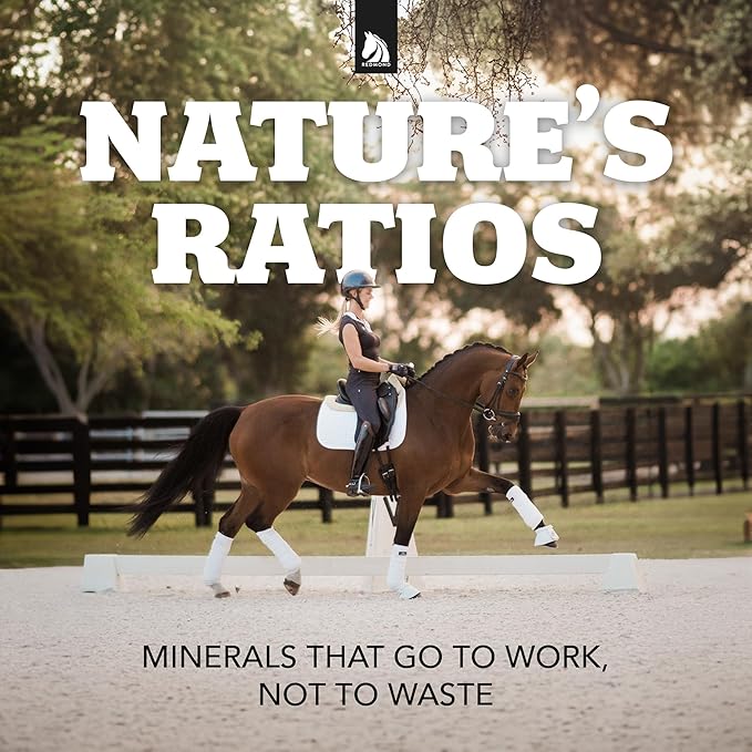 REDMOND Rock Crushed Loose Mineral Salt Electrolyte Supplement for Horses (25 LBS)