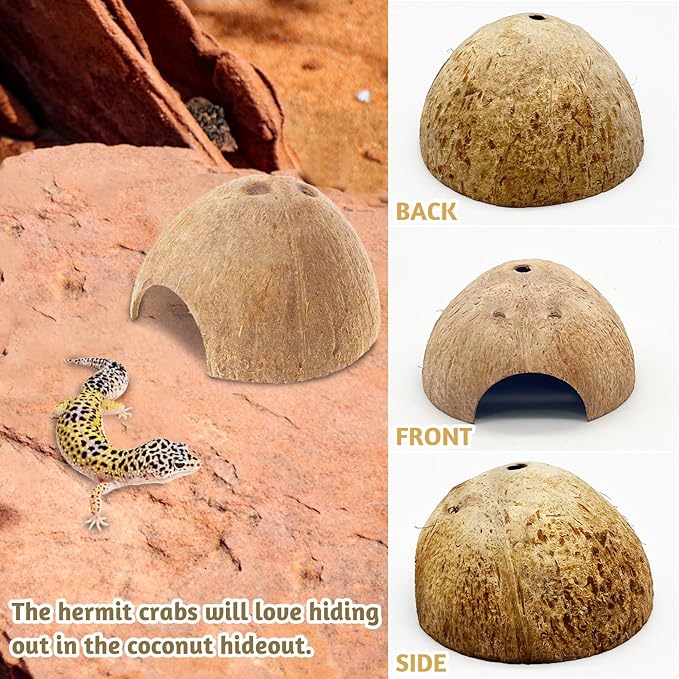 PINVNBY 4 PCS Natural Coconut Reptile Hideouts Lizard Coco Hut Hermit Crab Hut Aquarium Fish Hide Cave Spider Snail Climber Toys