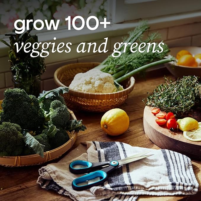 Farmstand Starter Kit + 24 Seedling Credit | Medium Hydroponic Growing System Kit | Self-Watering Outdoor Vertical Garden Planter Tower | 4ft 10in | Made in USA