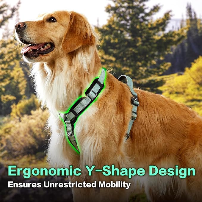 CLEPAWS Dog Harness for X-Large Dogs, No Pull Dog Harness Easy Walk with Metal Hardware, Ergonomic Y-Shaped Design, Soft Padding, Padded Handle, Durable High-Tensile Nylon (Seabreeze, XL)