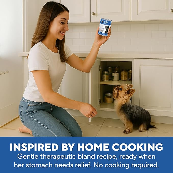 Dave's Dog Food Bland Diet Dog Food for Sick Dogs with Upset Stomach (Chicken & Rice), Economy Size for Large Pups or Big Eaters, Sensitive Stomach, 22 oz (Case of 12)