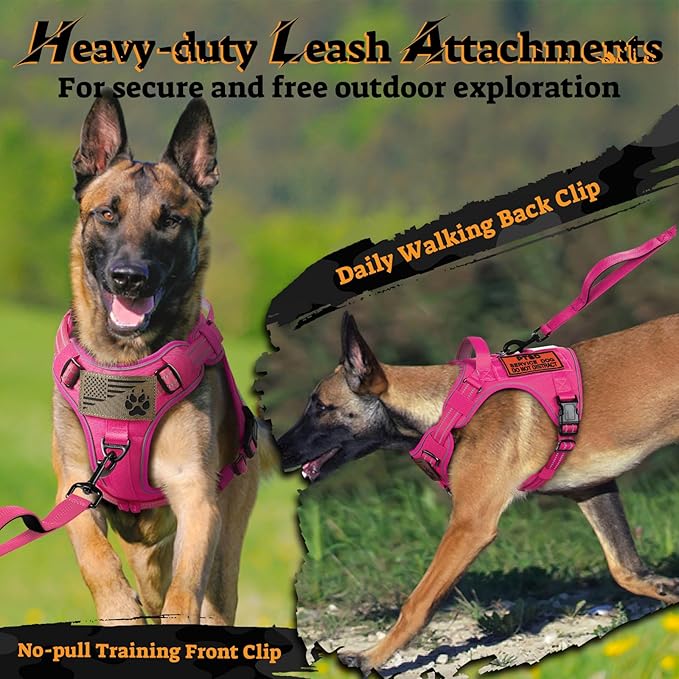 rabbitgoo Dog Harness for Large Dogs No Pull, Tactical Service Pet Vest with Molle and Control Handle, Adjustable and Reflective Military Harness for Easy Walking and Training, Rose Red, L