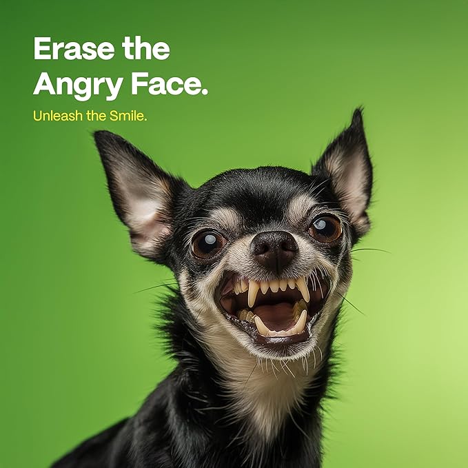 DOCO Dog Teeth Cleaning Wipes Dental Finger Wipes for Cats & Dogs Remove Plaque & Tartar, Freshen Breath, No Rinse, Easy Pet Tooth Cleaning Kit for Oral Care, Coconut & Grapefruit Flavor, 50 Count