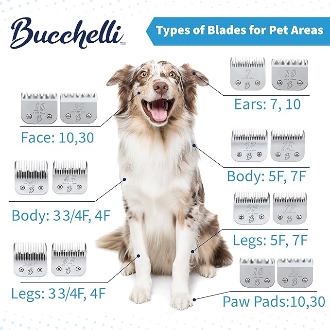 Detachable A Series 4 Blade Dog Grooming Skip Tooth Cuts Length 3 3/8" - 9.6mm Japanese High Carbon Steel Dog Grooming Blade Supplies | Detachable Blade Clippers (Compatible A5 Series(B4)