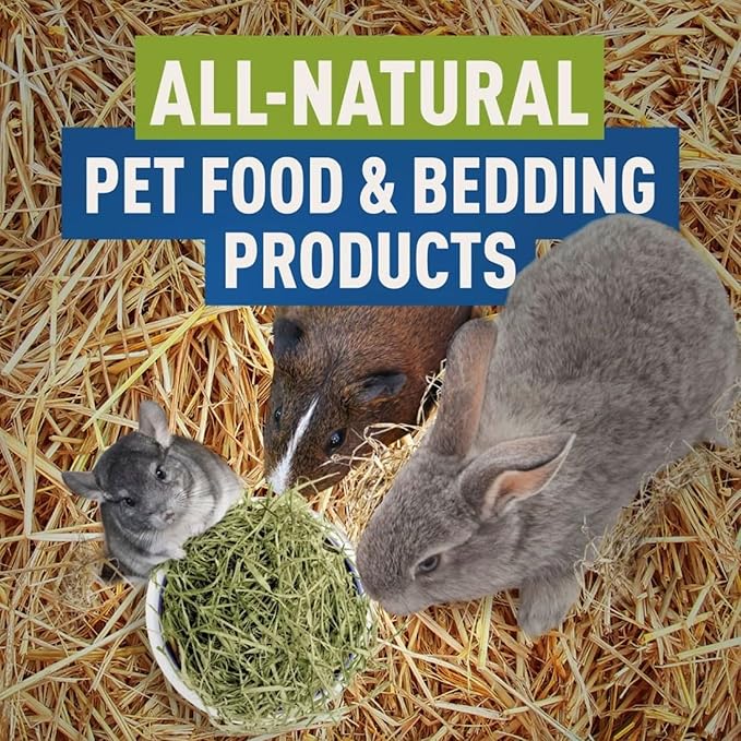 Blue Mountain Hay | Organic Bedding Straw (10 lb) | Natural Pet Bedding & Insulation for Rabbits, Guinea Pigs, Goats, Chickens, Stray & Feral Cats, and Small Animal Shelters