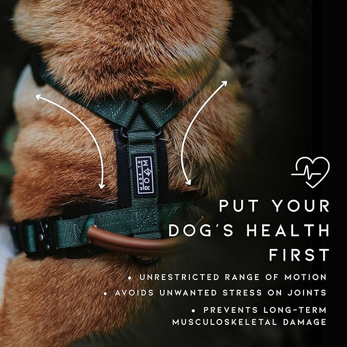 MADE TO ROAM Premium Explorer Harness - Y-Shaped Dog Harness with Adjustable Durable Nylon, Soft Padding, Metal Buckles and Leather Handle for Small, Medium, Large Dogs (Virginia Mountains, Size 4)