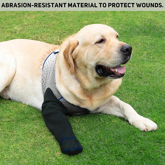 COODEO Dog Socks to Prevent Licking Paws, Healing Boots & Paw Protectors with Non-Slip Bottoms for Wound Protection, Waterproof Sleeve Shoes for Licking（Grey，XL_Left
