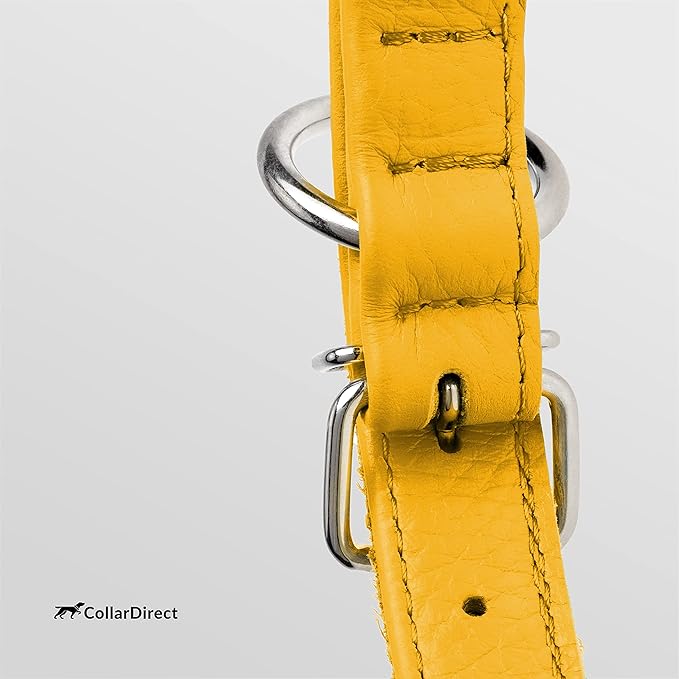 CollarDirect Rolled Leather Dog Collar, Soft Padded Round Puppy Collar, Handmade Genuine Leather Collar Dog Small Large Cat Collars 13 Colors (18-22 Inch, Yellow Textured)
