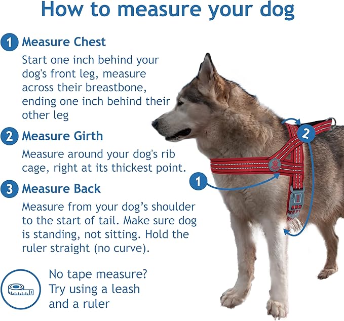 DOCO No-Pull Dog Harness Halter Reflective Easy-Control Harness for Training, Walking, and Preventing Pulling, Ideal for X-Large Dogs(Turquoise)