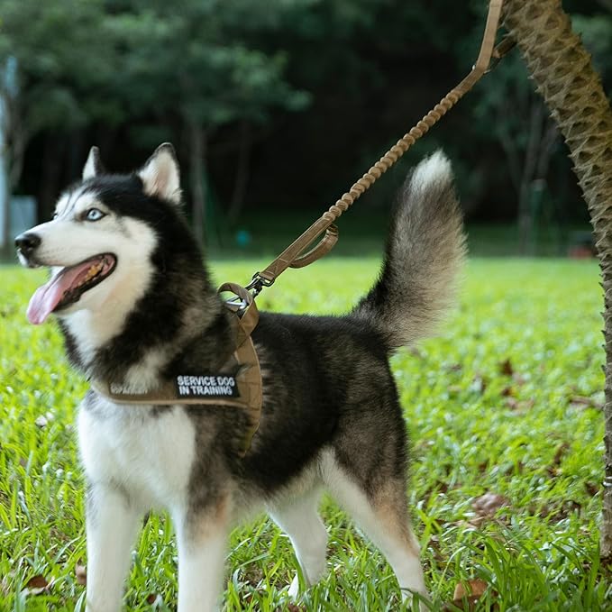 EXCELLENT ELITE SPANKER Tactical Bungee Dog Leash Military Adjustable Dog Leash Quick Release Elastic Leads Rope with 2 Control Handle(Black