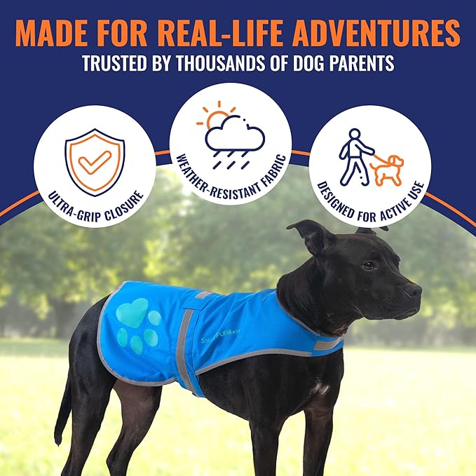 Dog Reflective Vest – Hi-Vis Fluorescent Visibility That Helps to Safeguard Your Pet On/Off Leash in Urban & Rural Areas (Blue, Large)