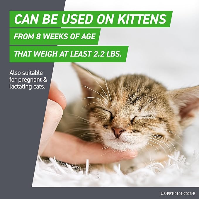 FRONTLINE Plus Flea and Tick Treatment for Cats Over 1.5 lbs. 6 Treatments