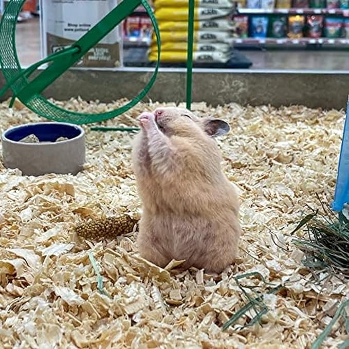 Blue Mountain Hay | Fresh Organic Meadow Hay (40 Ounce) | Mimics Natural Forage | High-Altitude Hay Pet Food for Rabbits, Guinea Pigs, Chinchillas, Hamsters, and Other Small Pets