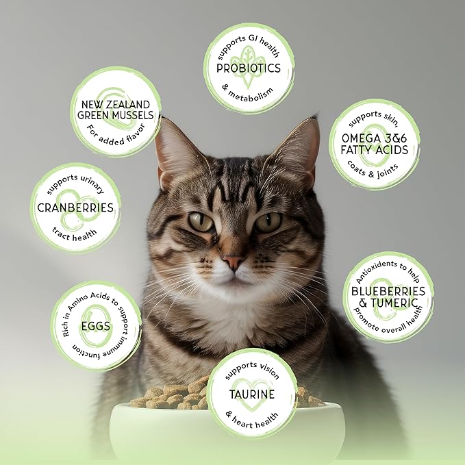 Blackwood Bounty Dry Cat Food, Whitefish & Lentil Recipe for All Life Stages, 2 Pound Bag, High Protein, Grain Free (Pack of 4)