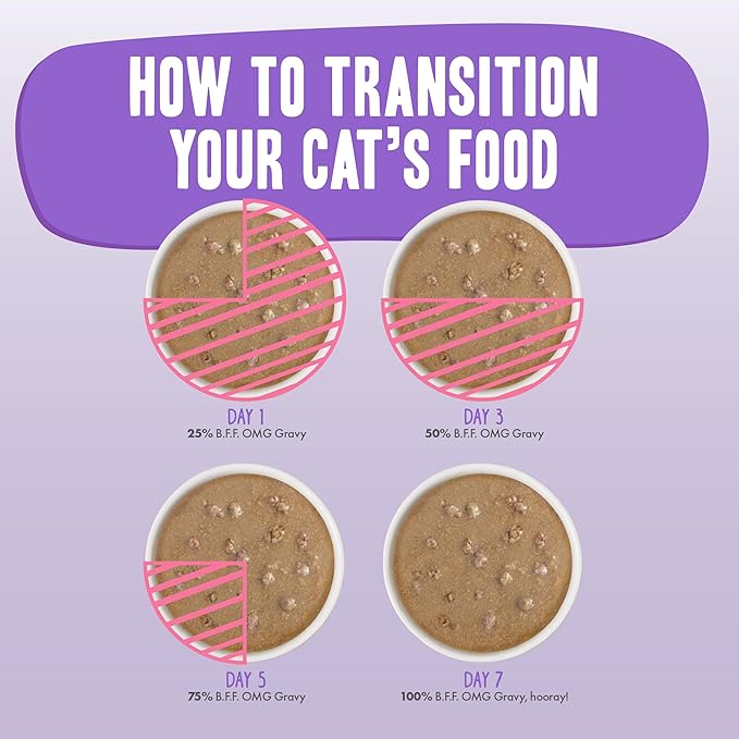 Weruva B.F.F. OMG - Best Feline Friend Oh My Gravy!, Tuna & Salmon Sweet Cheeks with Tuna & Salmon in Gravy Cat Food, 3oz Pouch (Pack of 12)