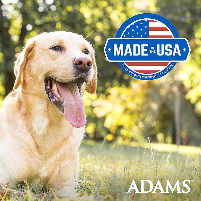 Adams Flea & Tick Collar Plus for Dogs & Puppies |2 Pack |12-Month Protection |One Size Fits All Dogs & Puppies 12 Weeks and Older |Kills Fleas and Ticks |Repels Mosquitoes (excluding California)