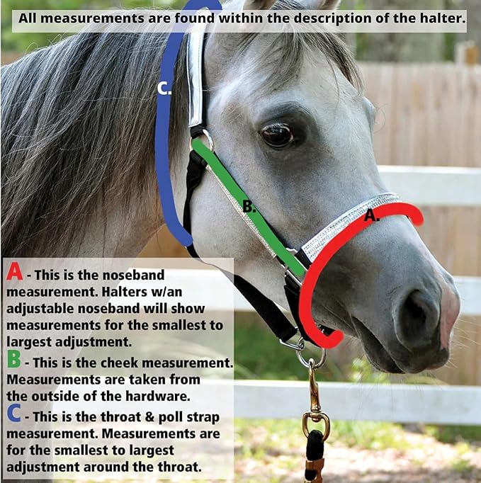 Jeffers Equine Mini Horse Halter – 3/4" Nylon Adjustable Halter for Miniature Horses, Ponies, Under 200 lbs – Heavy Duty Hardware, Secure Fit for Training, Turnout, Grooming, Travel – Black