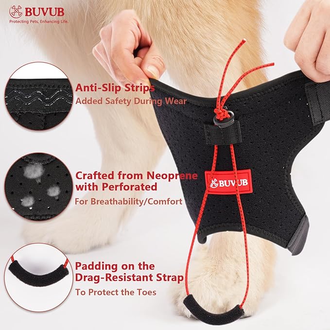 Dog Canine Knuckling Brace Rear Leg Dog Foot Brace Wrap for Toe Dragging Cause by Sciatic Nerve Insufficiency, Myelopathy, Herniated Disc (Medium)