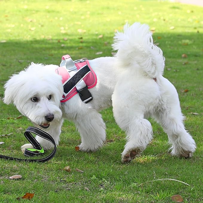 Bolux Dog Harness, No-Pull Reflective Dog Vest, Breathable Adjustable Pet Harness with Handle for Outdoor Walking - No More Pulling, Tugging or Choking (Fuchsia, XX-Large (Pack of 1))