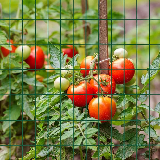 Green PVC Coated Welded Wire Fence 48 Inch x 50 Foot, 2 Inch x 4 Inch 14GA, Garden Border Fencing Roll Vinyl Coating Metal Wire Mesh Hardware Cloth for Yard Vegetable Plant Protection